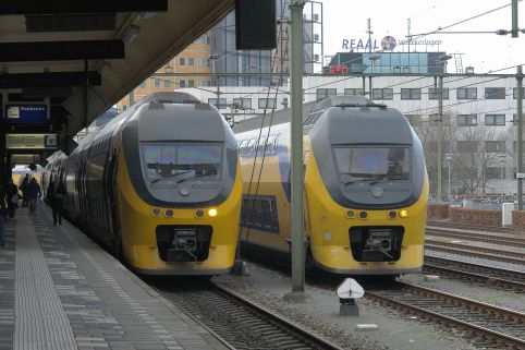 Twee IRM stammen, vlak na splitsing
