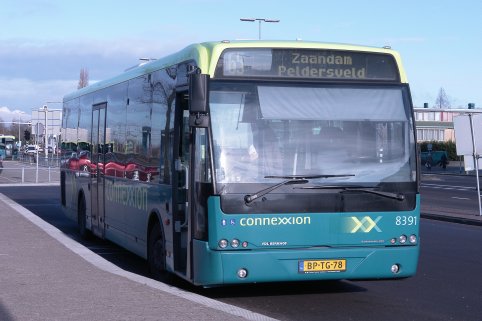 Ambassador 8391