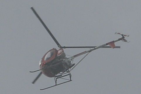 Heli