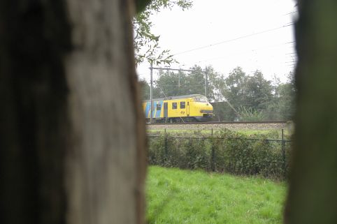 Trein zichtbaar door spleet van gespleten wilg