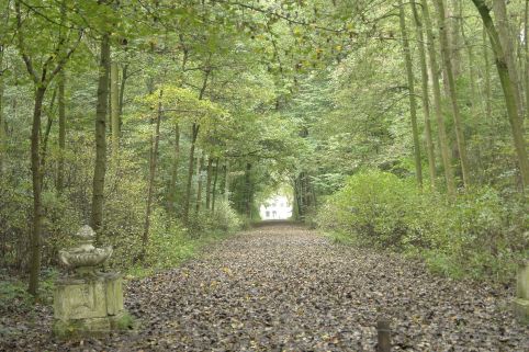 Huis in de verte