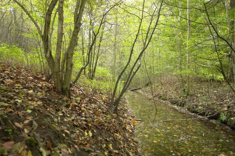 Water in de greppel