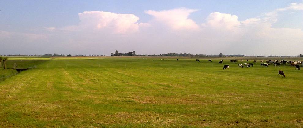 Zware onweersbuien gezien vanaf de Zuiderweg in Wormer