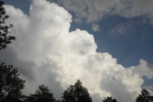 Prachtige 'bloemkoolwolken' van de onweersbui van zojuist