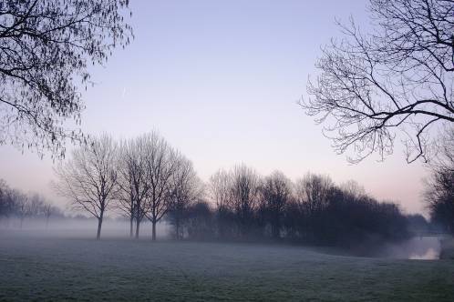 Grondmist bij zonsopkomst