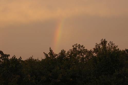 Kleine regenboog in de verte