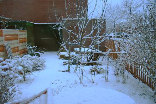 besneeuwde achtertuin