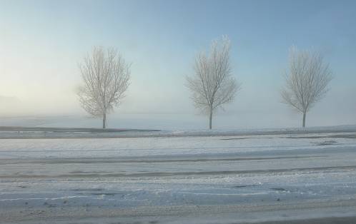 Met opkomende mistbanken, de massa's sneeuw en de opgaande zon, is de Verzetslaan een sprookje