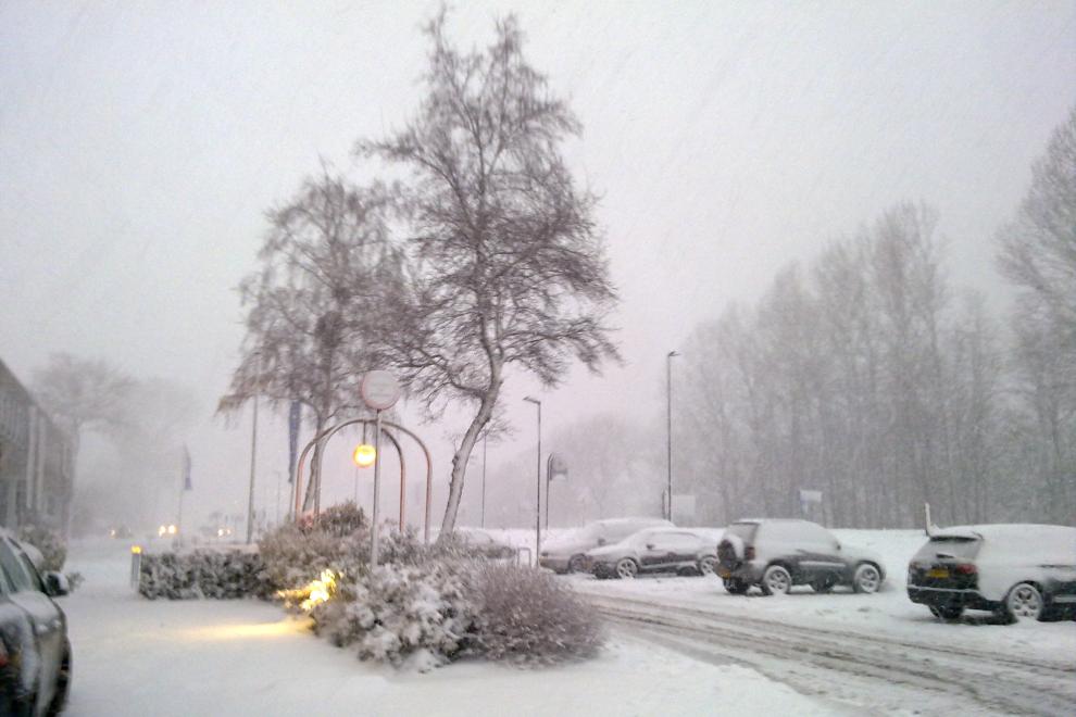 Bomen, geparkeerde auto's en al het overige bedekt door sneeuw en zicht van hooguit 80 meter door hevige sneeuwjacht aan de Noorder IJ- en Zeeweg 11 te Zaandam op 11 december 2017