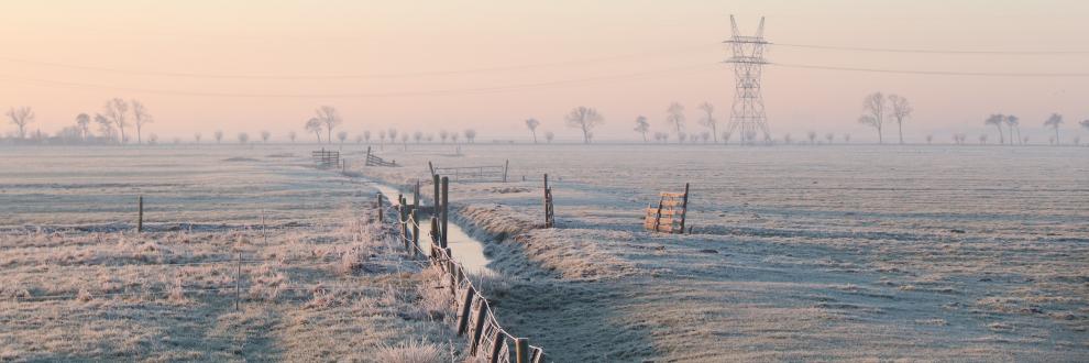 Boerenvelden met houten hekken en bomen en een hoogspanningsmast, alles in rijp gehulp na vrieskou op 21 januari 2019